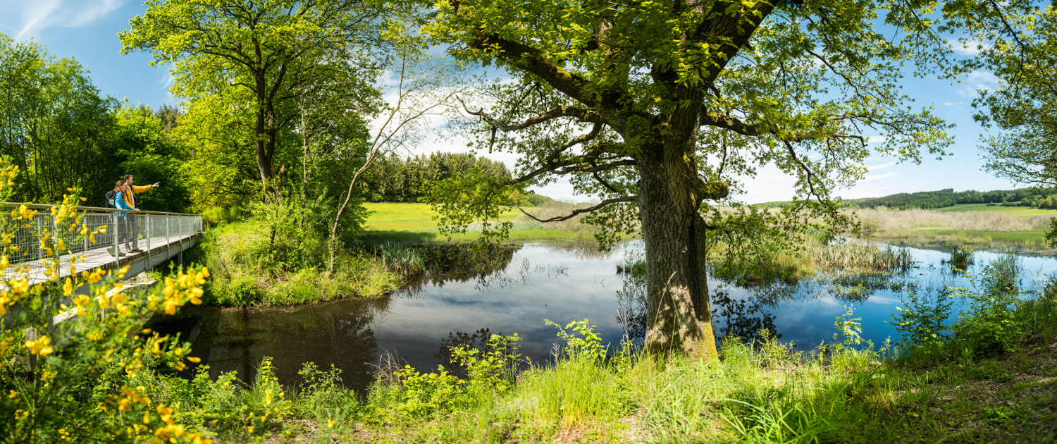 Naturschutzgebiet Mürmes