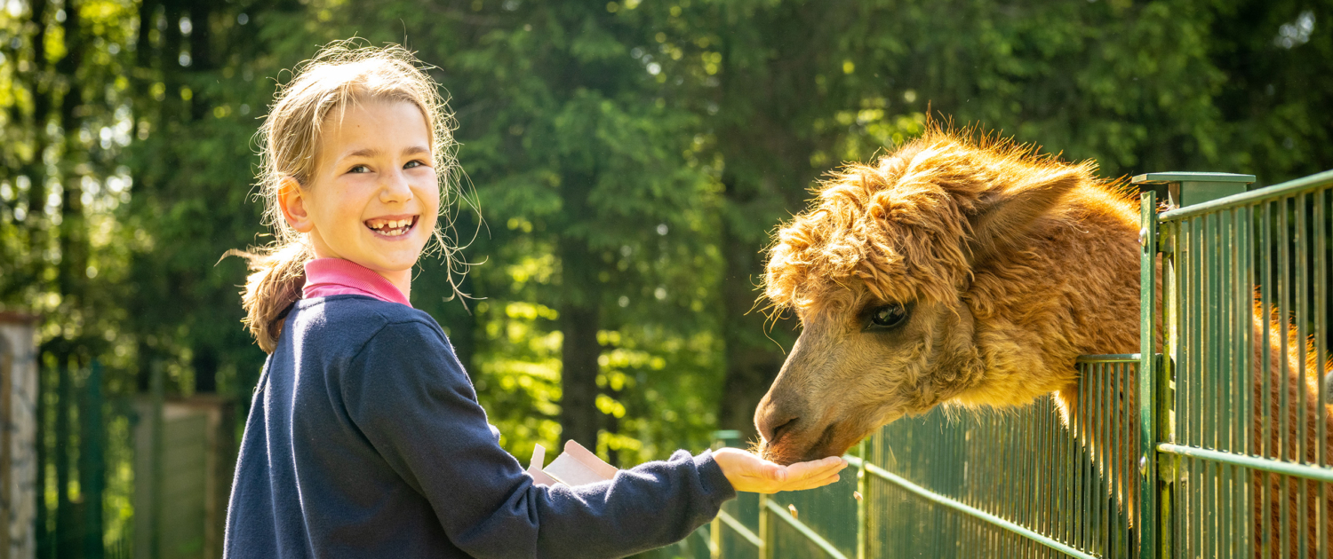 Wild- und Erlebnispark Daun